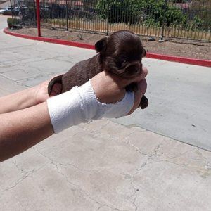 Meet your Posher, Stefania